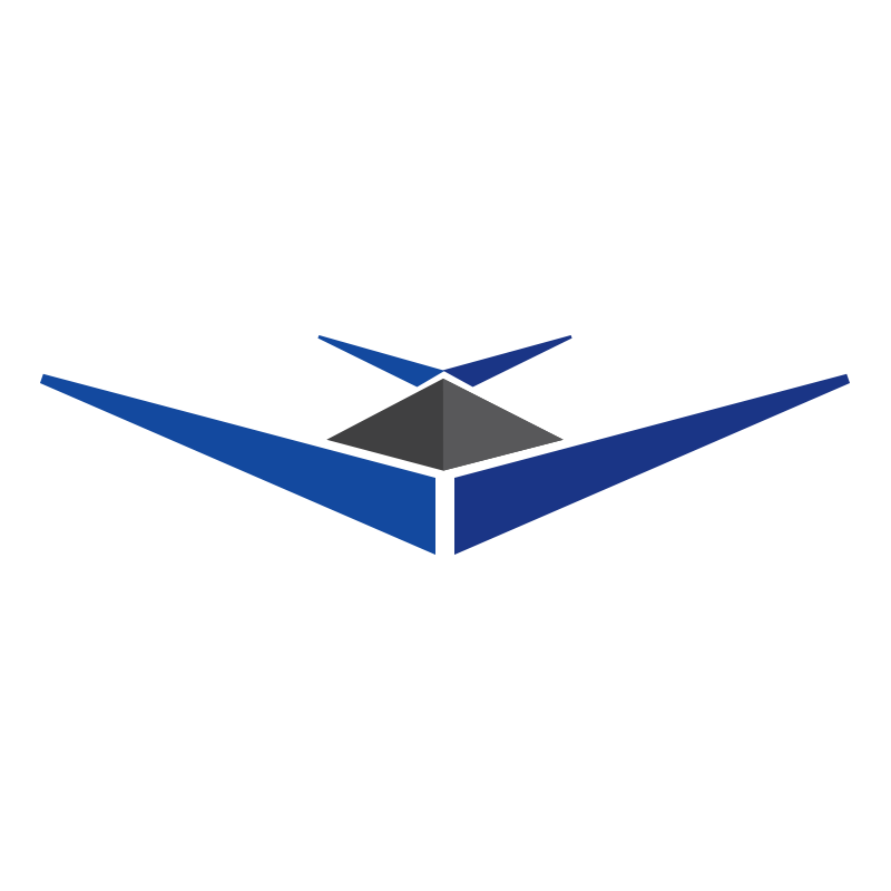 Tampa Bay Aviation Logo